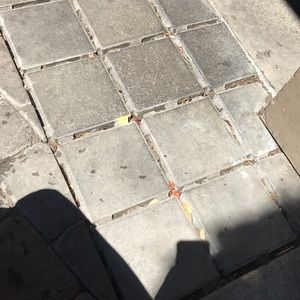 Meet your Posher, Grace